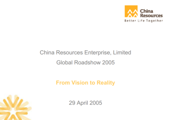 2005 Global Investors Roadshow- "From Vision To Reality"